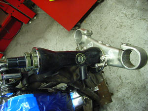 RIMG1378.JPG
