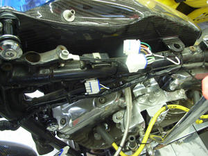 RIMG1597.JPG