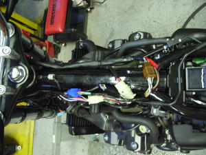 RIMG2174.JPG