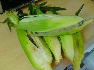 cone1