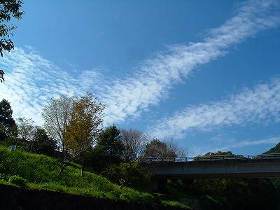 bokusui-kouen
