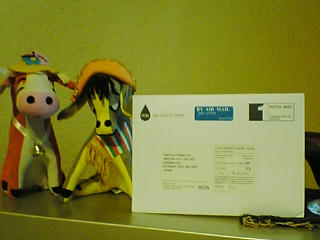 minicard