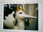 CIMG0016.JPG