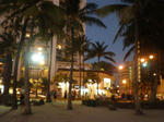 P2150012.jpg