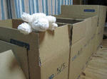 692ab464.jpg