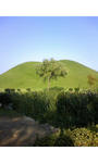 TS3I00330001.jpg