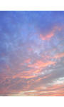 TS3I00540001.jpg