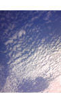 TS3I0040.jpg