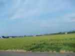 DSCN1424.JPG