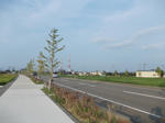 DSCN1433.JPG