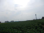 DSCN1462.JPG