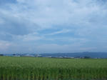 DSCN1463.JPG
