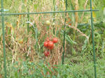 DSCN1469.JPG