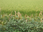 DSCN1472.JPG