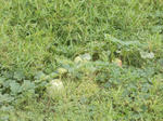 DSCN1473.JPG
