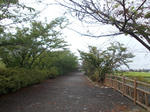DSCN1493.JPG