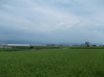 DSCN1505.JPG
