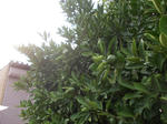 DSCN1506.JPG