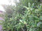 DSCN1507.JPG
