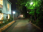 DSCN1533.JPG