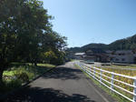 DSCN2140.JPG