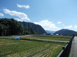 DSCN2158.JPG