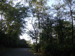DSCN2420.JPG