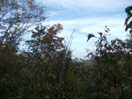 DSCN2448.JPG