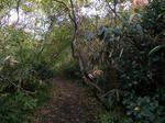 DSCN2452.JPG