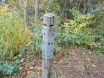 DSCN2455.JPG