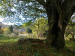 DSCN2540.JPG