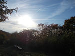 DSCN2561.JPG