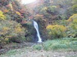 DSCN2546.JPG