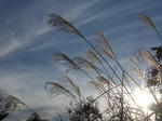 DSCN2569.JPG