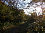 DSCN2575.JPG