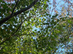DSCN2578.JPG