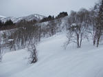 DSCN2989.JPG