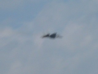 F-15機動飛行