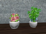Snapshot_257.png