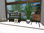 Snapshot_1088.png
