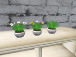 Snapshot_159.png
