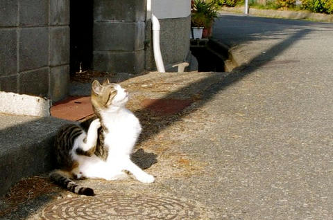のび