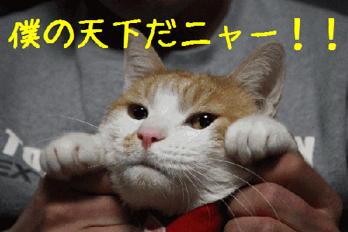 IMG_3728.gif