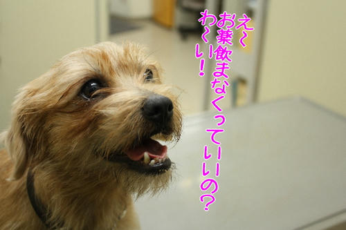 7609ba39.jpg