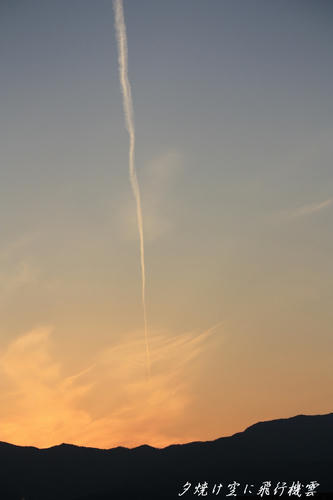 5045226a.jpg