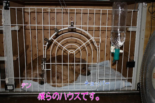 1bed41ba.jpg