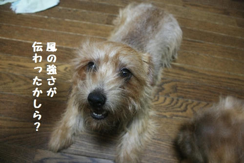 f9c908c3.JPG