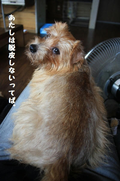 IMG_1951.JPG