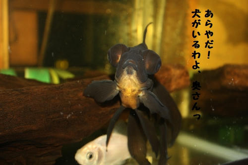 c5877d09.JPG