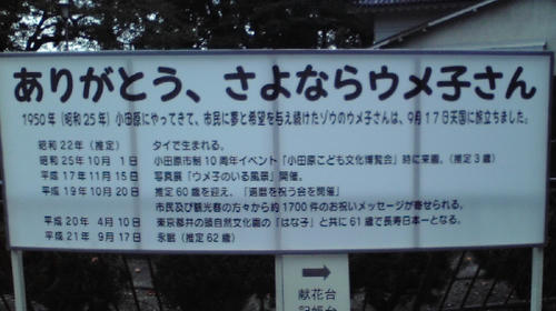 2009092717120002.jpg